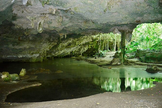 Adventure in ATV, Cenote swimming, snack & transportation - Family-Friendly Adventure: Who This Tour Fits Best