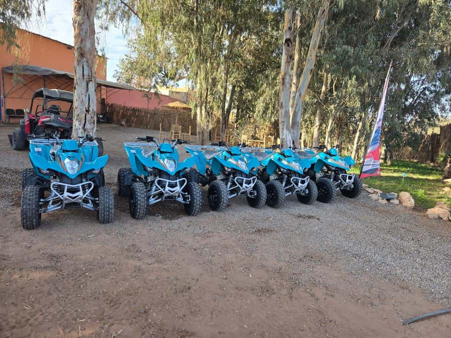 Agadir : 2 h Quad biking excursion with moroccan tea - Key things that make this quad tour worth your attention