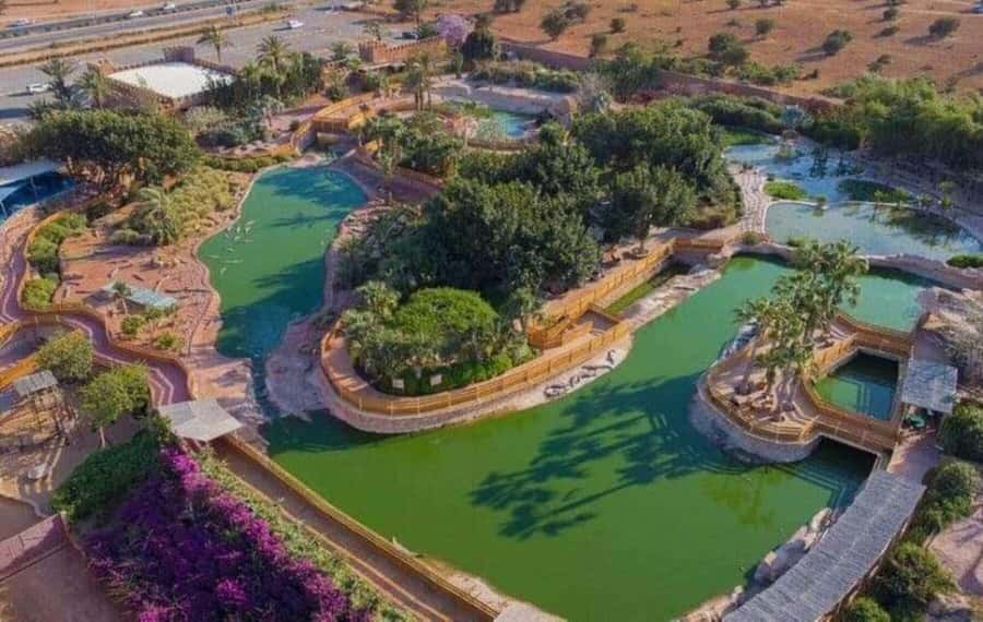 Agadir: Agafay Desert Quad Biking With Goats On The Tree - Key things to know before you go