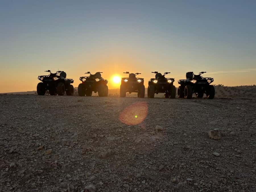 Agadir: Agafay Desert Quad Biking With Goats On The Tree - The goats-in-argan-trees photo stops: why it’s special and how it can cost extra