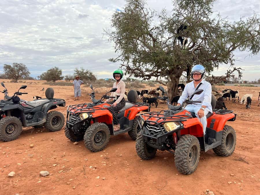 Agadir: ATV Quad Biking and Goats On Argan Trees with Tea - Quick hits