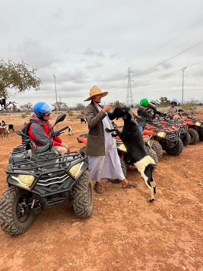 Agadir: ATV Quad Biking and Goats On Argan Trees with Tea - The Atlas Foothills Ride: What “Guided Rugged Terrain” Feels Like