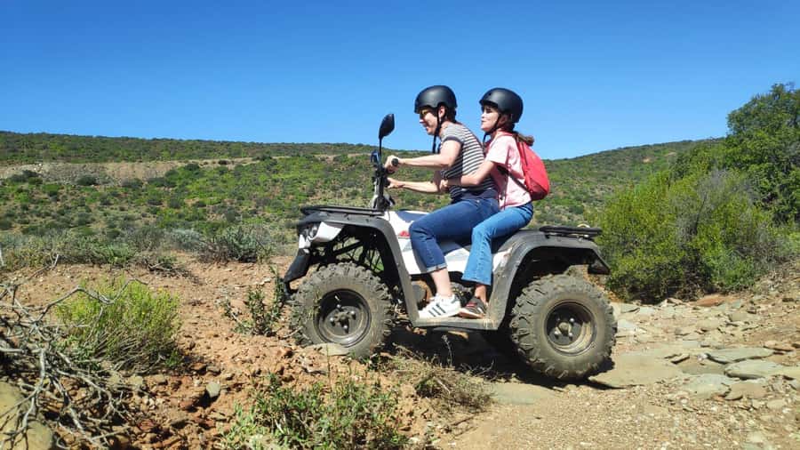 Agadir: ATV Quad Biking and Goats On Argan Trees with Tea - Goats in Argan Trees: The Stop That Turns the Trip from Fun to Memorable