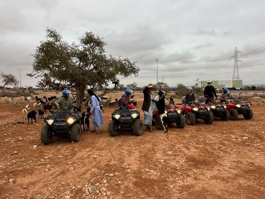 Agadir: ATV Quad Biking and Goats On Argan Trees with Tea - Who Should Book This ATV + Goats Tour in Agadir