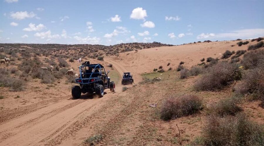 Agadir: Buggy Safari Adventure - Should you book the Agadir Buggy Safari Adventure?