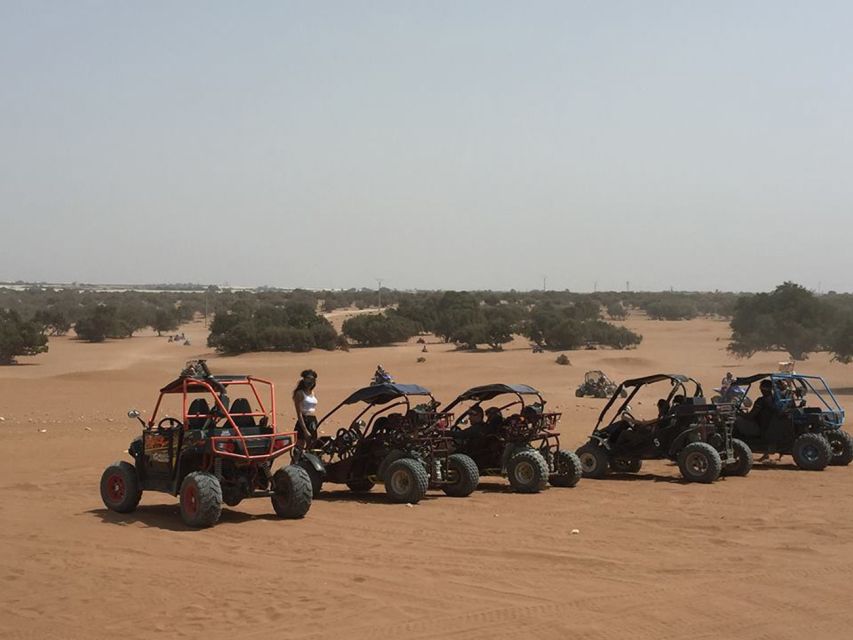 Agadir: Buggy Safari Adventure - Who this Agadir buggy safari suits best
