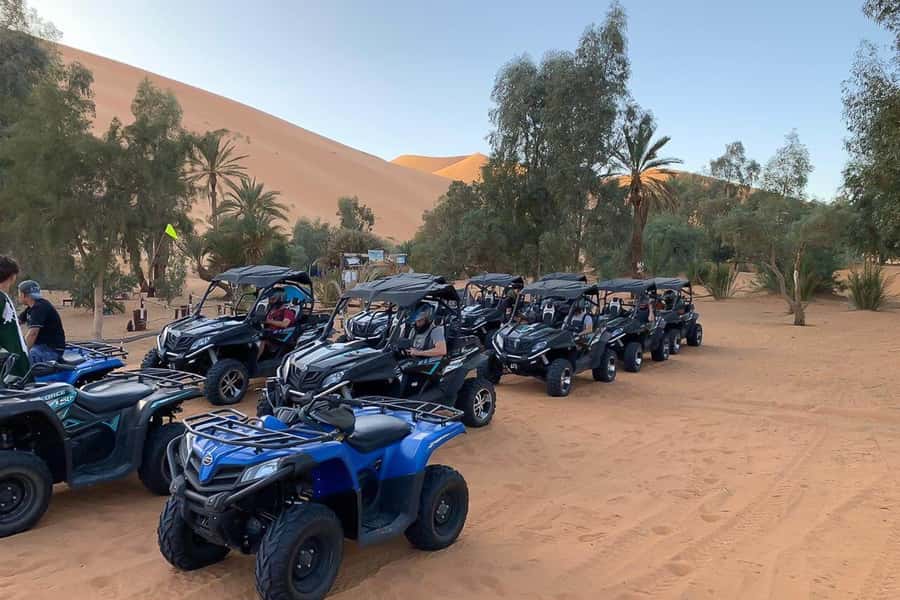 Agadir: Half-Day Desert Dunes Buggy Safari - Sand, forests, and real dune time: what the 1.5-hour drive feels like