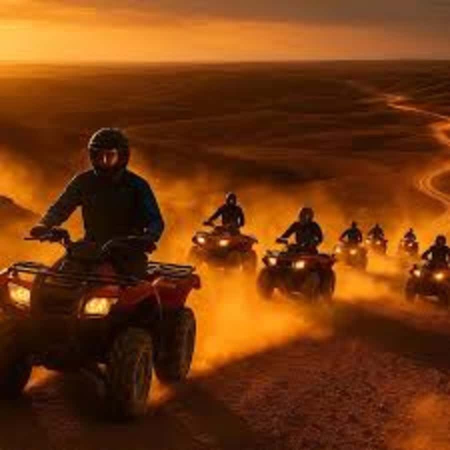 Agadir: Quad Bike Safari Desert With Moroccan Tea - The goats in argan trees: the photo moment you’ll remember