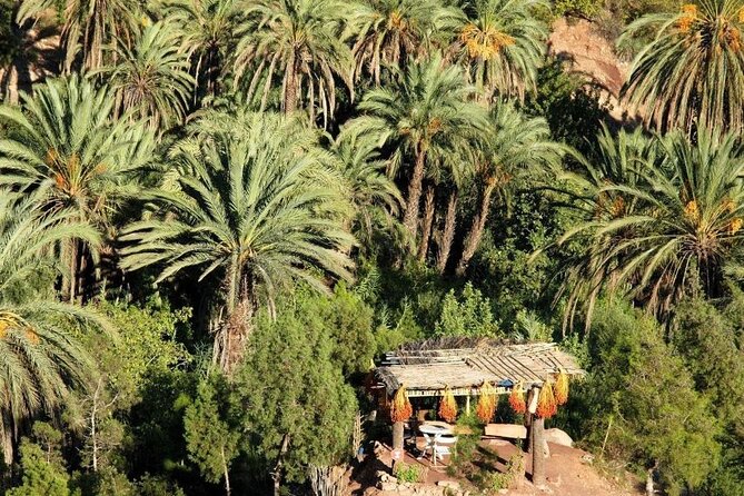 Agadir Quad Biking on the Beach & Sandboarding in the Desert - Price and Value: Why This Costs About $30.38