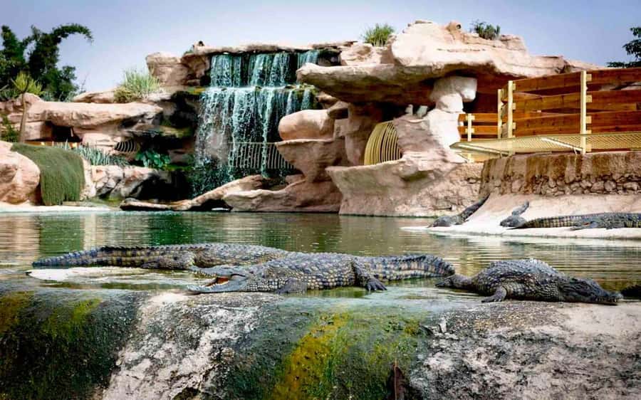 Agadir: Quad Safari with Crocoparc Optional - Key highlights you’ll actually care about