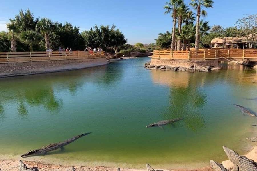 Agadir: Quad Safari with Crocoparc Optional - Itinerary flow in real-life terms: pickup, park time, then quads