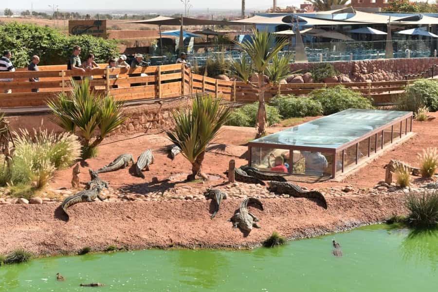 Agadir: Quad Safari with Crocoparc Optional - Dust, clothes, and small comfort moves that make the day better