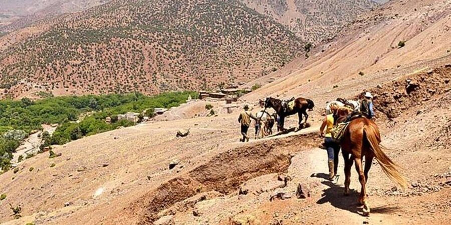 Agadir: Quad Safari with Crocoparc Optional - Who should book this Agadir quad safari with Crocoparc?