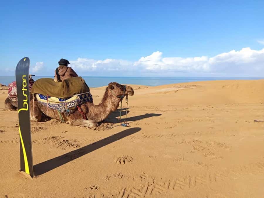 Agadir Sinec Canyon Desert Tour + Optional Sandboarding - Timing, transport, and how the day usually feels in 4 hours