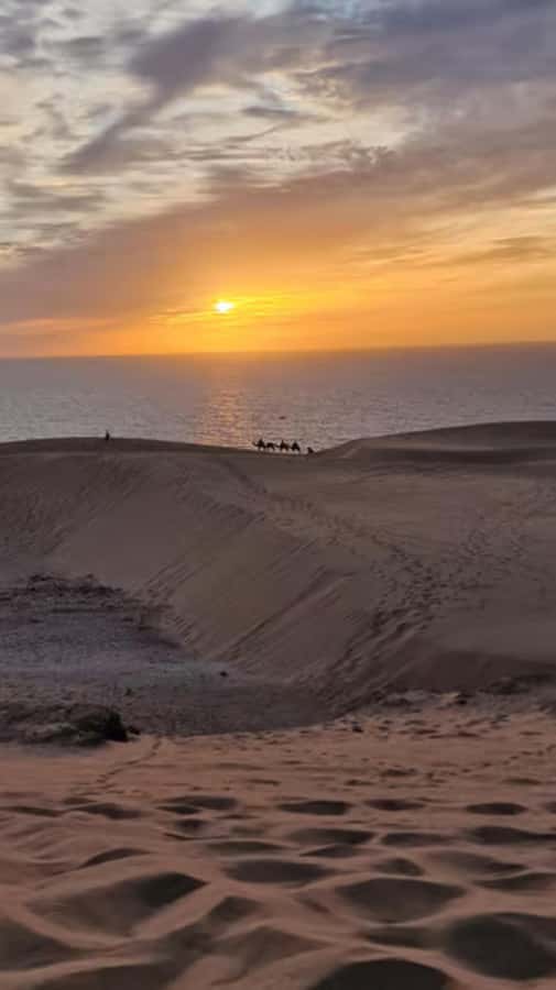 Agadir/Taghazout : Quad Bike & Camel Ride On The Beach - Who this quad bike and camel ride is best for