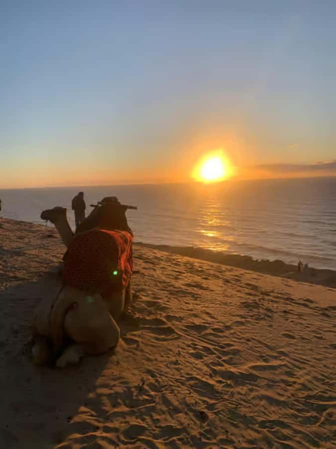 Agadir/Taghazout : Quad Bike & Camel Ride On The Beach - Price and value: why $68 feels fair for two guided rides