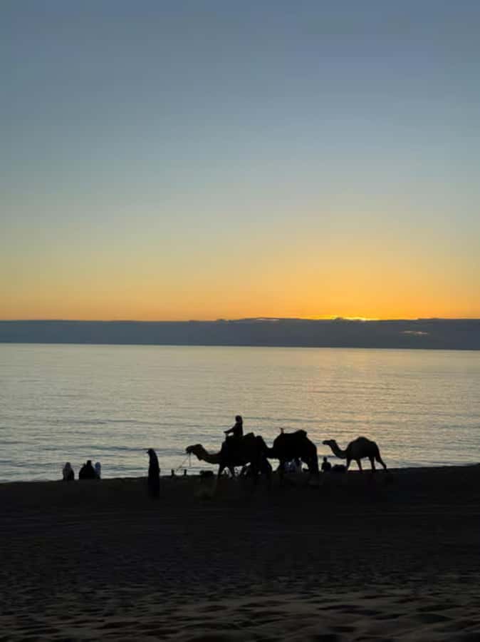 Agadir/Taghazout : Quad Bike & Camel Ride On The Beach - What to bring (and what to expect) so it feels easy
