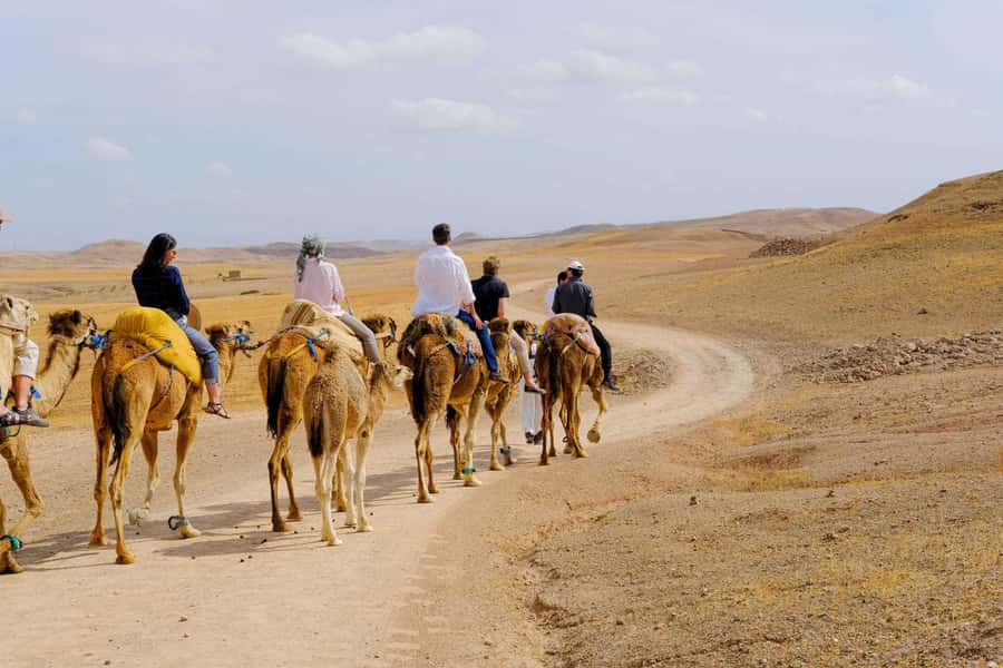 Agafay and atlas: Quad and camel experience - Practical tips before you go (so day-one goes smoothly)
