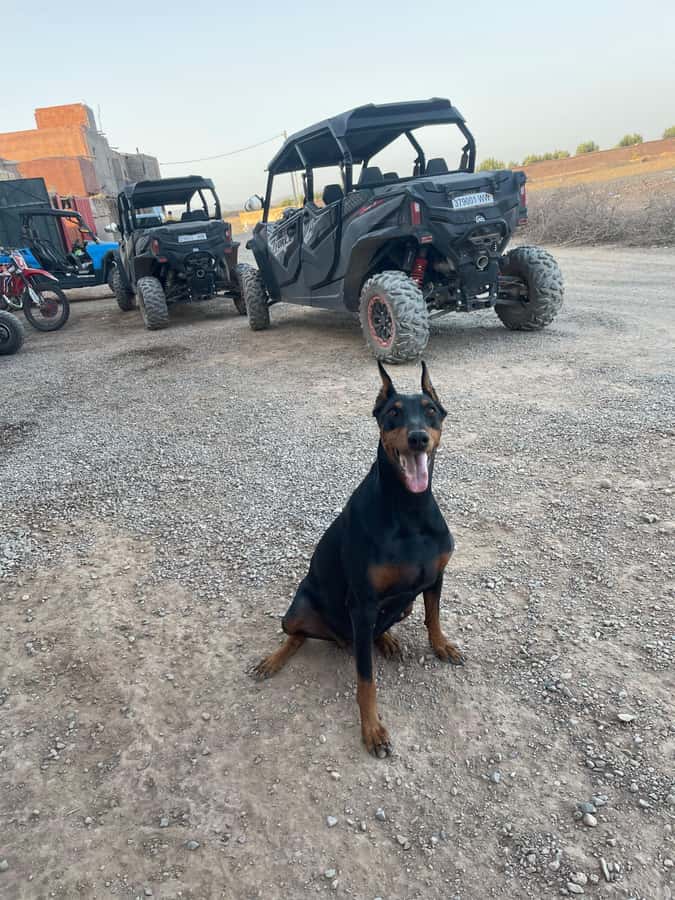 Agafay Desert 4-Seater Buggy Experience | Family & Premium - Price and Value: Does $70 Per Person Make Sense?