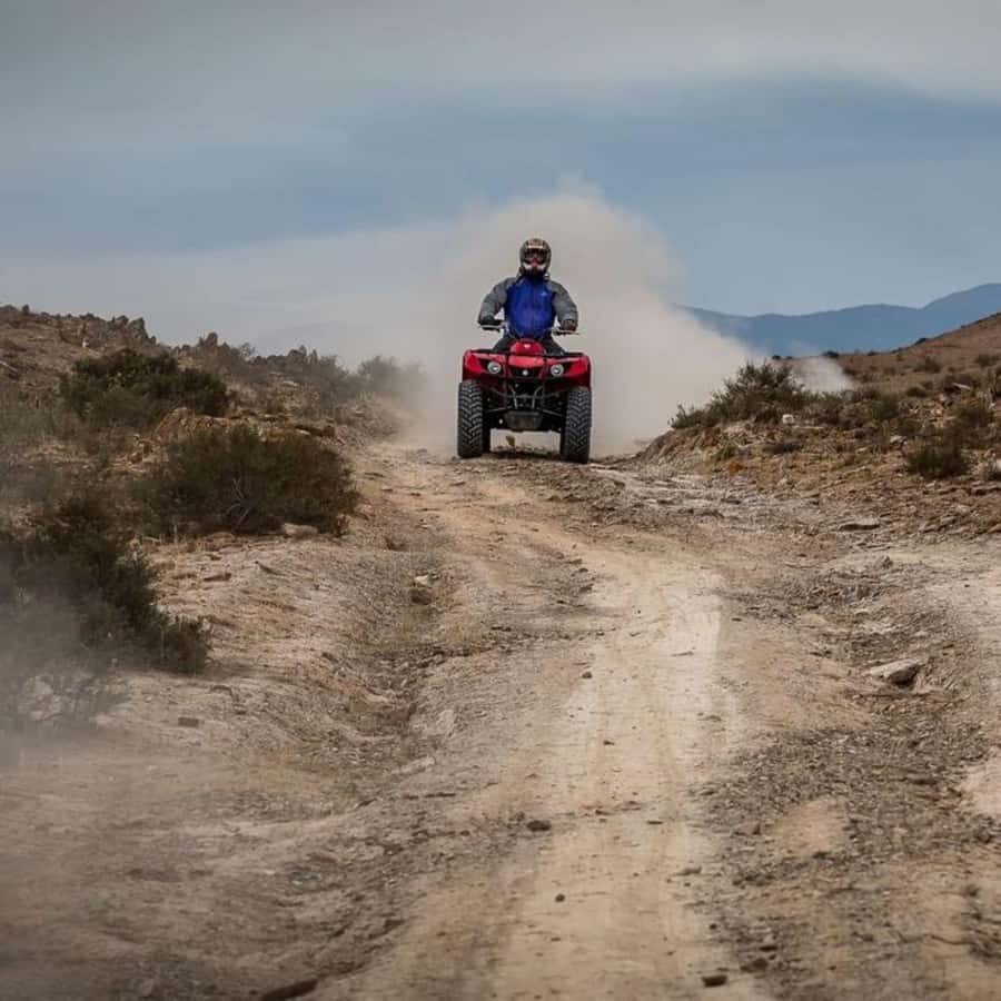 Agafay Desert Day Trip with Lunch, Quad Biking and Swimming - Lunch under a tent: what you’ll likely eat (and what it means)
