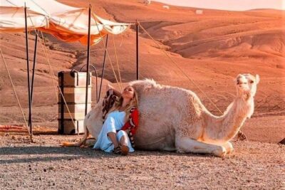 Agafay Desert: Dinner + Show with Quad Bike & Sunset Camel Ride - Quad bike in the Agafay dunes: thrilling, structured, and safety-minded
