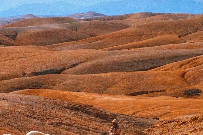 Agafay Desert: Dinner + Show with Quad Bike & Sunset Camel Ride - Dinner and show under stars or in a tent