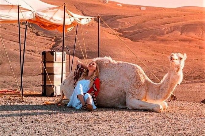 Agafay Desert: Dinner + Show with Quad Bike & Sunset Camel Ride - Quad bike in the Agafay dunes: thrilling, structured, and safety-minded