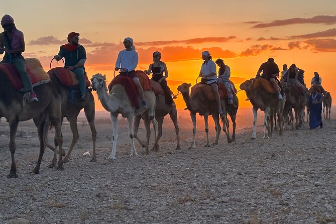 Agafay Desert Luxury, Quad, Camel, Pool, Dinner Show and Concert - Key Highlights You’ll Actually Care About