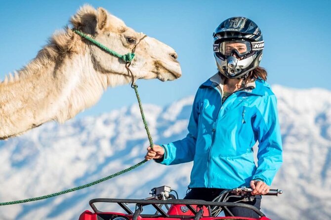 Agafay Desert Package, Quad Bike, Camel Ride and Dinner Show - Key Things I’d Mark on Your Must-Do List