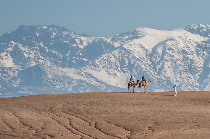 Agafay Desert Package, Quad Bike, Camel Ride and Dinner Show - The Pool and Tea Pause: Where the Day Cools Down