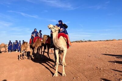 Agafay Desert Package: Quad Bike, Camel Ride, Dinner show - Quad Bike / ATV Over the Dunes at Sunset: When the Night Turns Fun