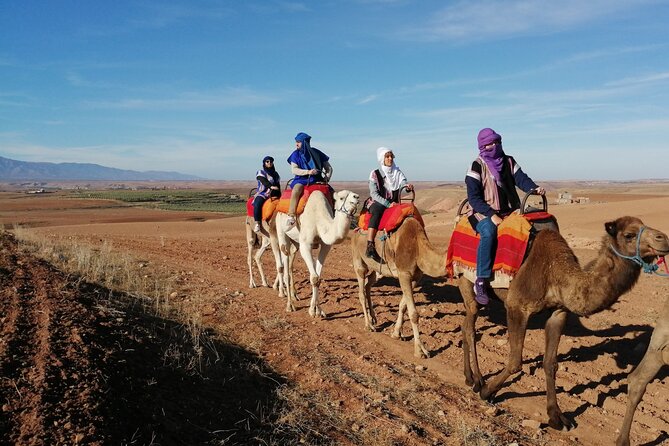 Agafay Desert Package: Quad, Camel Rides & Dinner Show or Lunch - Price and Value: Why $37.08 Can Make Sense in Marrakech Terms