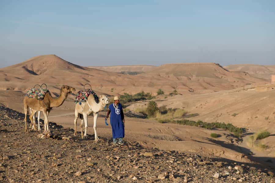 Agafay Desert: Quad Bike and Camel Ride Adventure Tour - Yamaha quad biking: speed, controls, and getting dusty the fun way