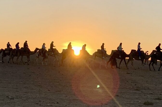 Agafay Desert: Quad Bike & Camel Ride & Magical Diner with Show - Why Agafay works so well for a night trip from Marrakech