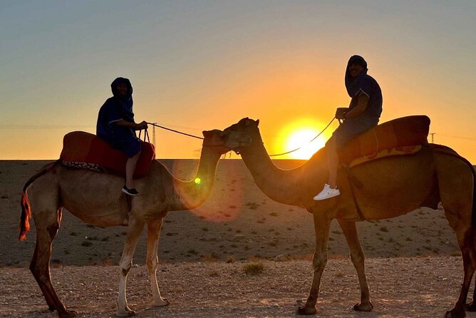 Agafay desert : Quad biking and camels and dinner with show - Price and value: what $48.20 really covers
