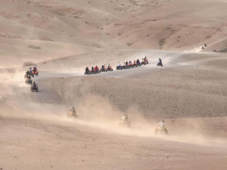 Agafay Desert: Quad Biking, Camel Ride, Lunch - What kind of traveler will love this
