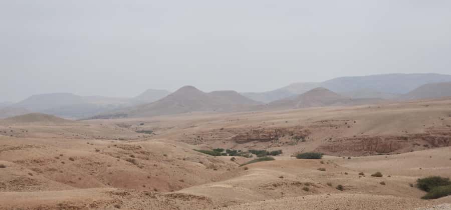 Agafay Desert: Quad Biking, Camel Ride, Lunch - Camel ride: 20 minutes of slow desert reality