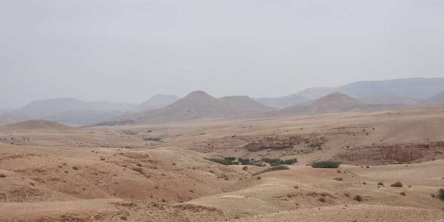 Agafay Desert: Quad Biking, Camel Ride, Lunch - Tea time, argan oil cooperative, and the real story behind the stop