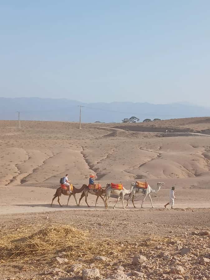 Agafay Desert: Quad Biking, Camel Ride, Lunch - Price and value: is $34 really fair?