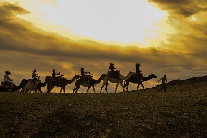 Agafay Desert - Quad camel and dinner show - Price and Value: Is $46.53 Worth It?