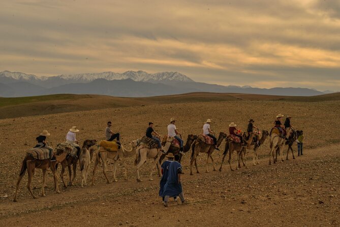Agafay Desert - Quad camel and dinner show - Who This Tour Fits Best (And Who Might Want Something Else)