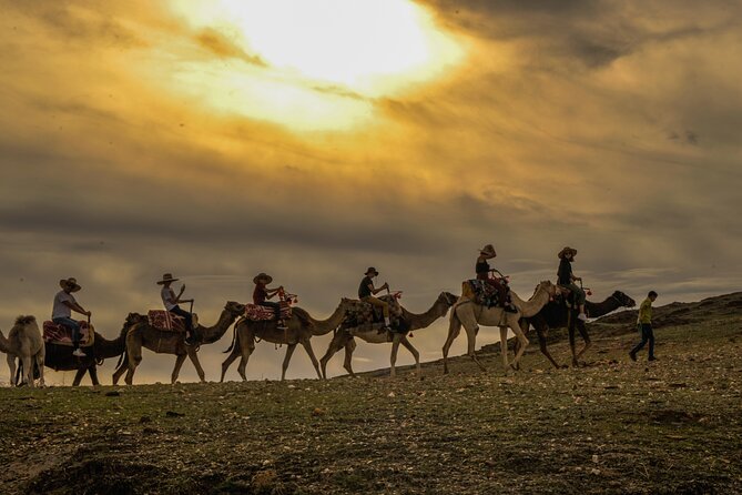 Agafay Desert - Quad camel and dinner show - Booking Tips That Prevent Headaches