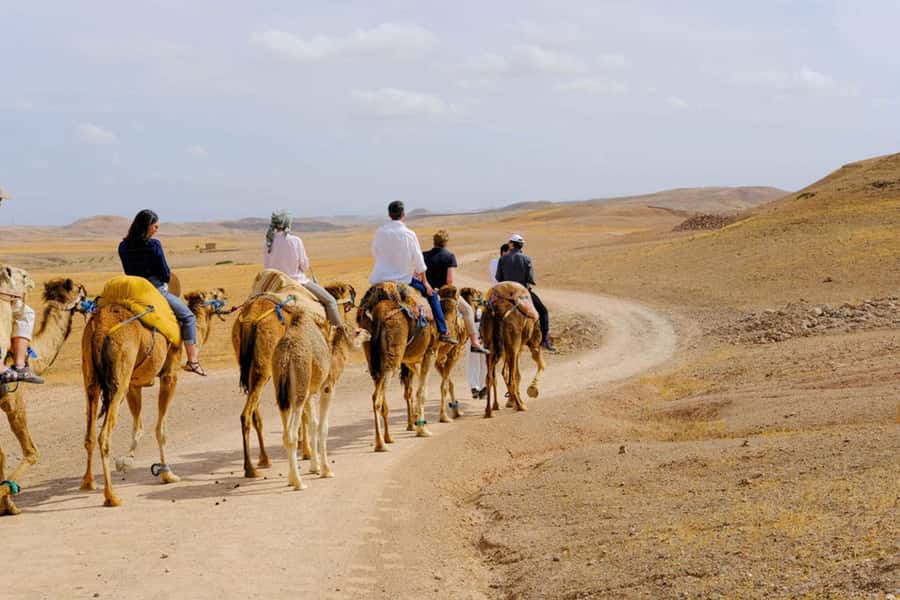 Agafay Desert: Quad, Camel Ride & Luxury Lunch with Pool - Practical tips so the day feels smooth