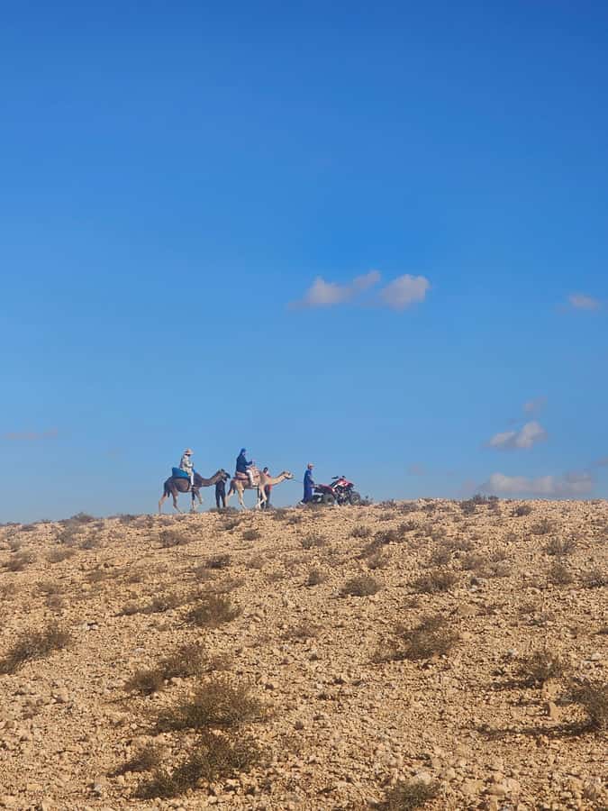 Agafay Desert Tour: Quad, Camel, Lunch & Pool Access - Who this Agafay tour suits best (and who should skip it)