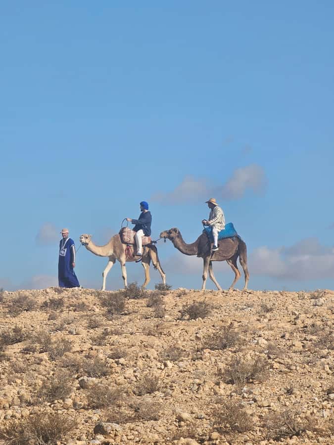 Agafay Desert Tour: Quad, Camel, Lunch & Pool Access - FAQ