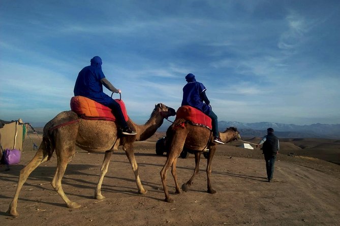 Agafay Half Day Rocky Desert Experience – Quad Bike & Camel Ride - Key Points That Make This Tour Worth Your Time