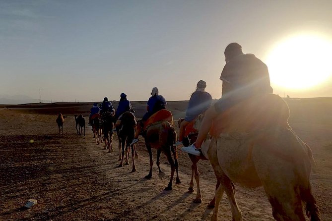 Agafay Half Day Rocky Desert Experience – Quad Bike & Camel Ride - Agafay’s Rocky Desert: Why This Feels Different From a City Day