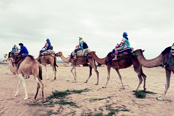 Agafay Half Day Rocky Desert Experience – Quad Bike & Camel Ride - What to Pack (Because Agafay Gets Messy)