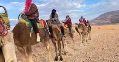 Agafay: Half-Day Rocky Desert Quad & Camel Ride with Lunch - Pickup and the smooth start (what the day feels like before you ride)