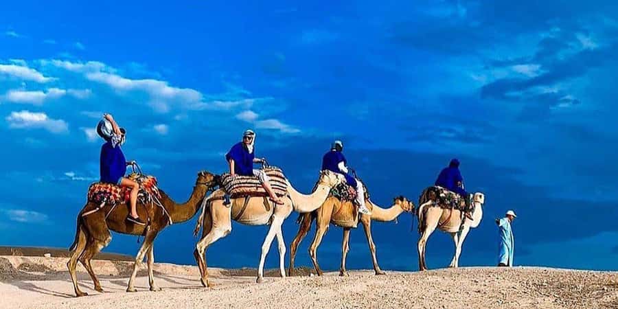 Agafay: Half-Day Rocky Desert Quad & Camel Ride with Lunch - Who should book this tour, and who should skip it